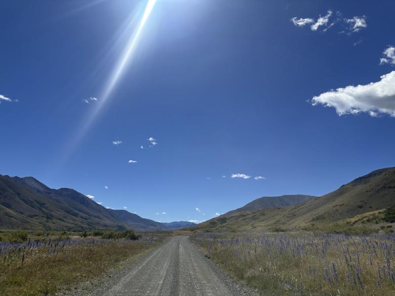 gallery/molesworth_2025_18.jpg