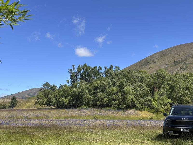 gallery/molesworth_2025_21.jpg