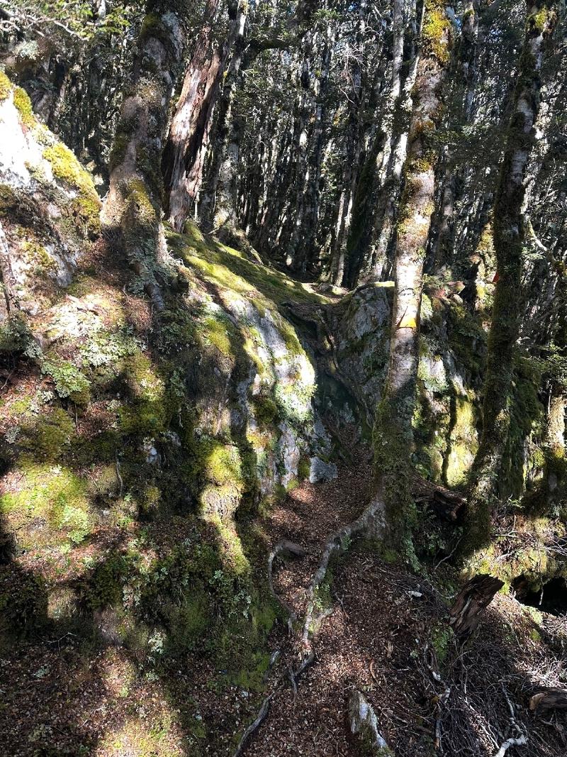 gallery/mt_arthur_06.jpg