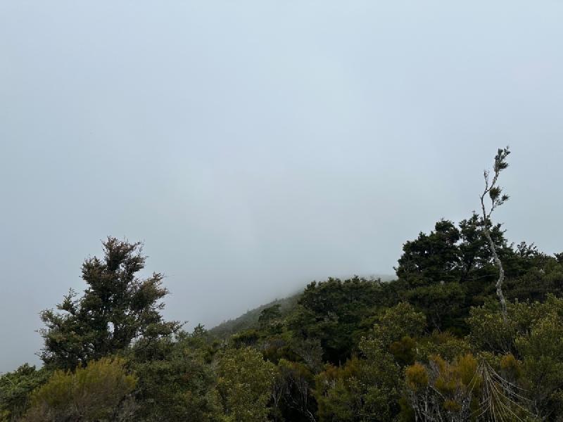 gallery/mt_robertson_03.jpg