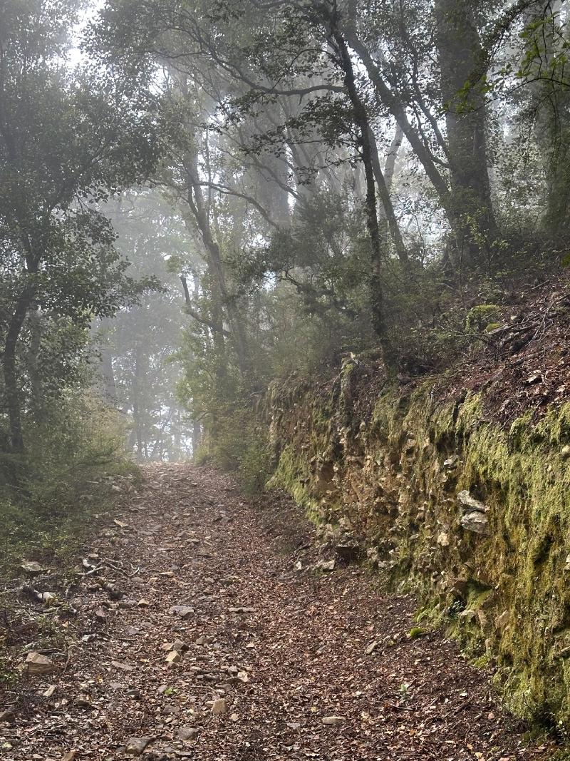 gallery/mt_robertson_04.jpg