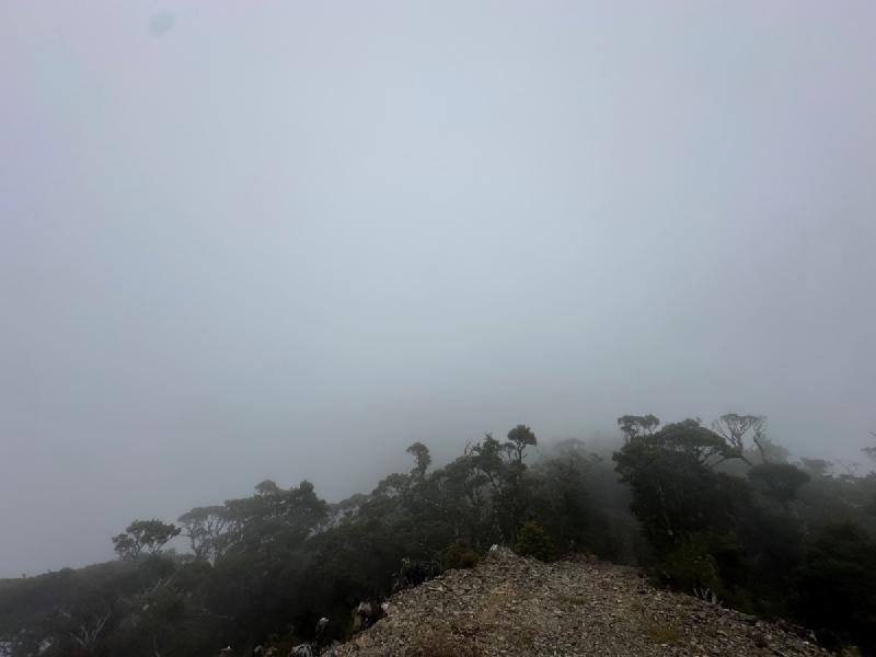 gallery/mt_robertson_05.jpg