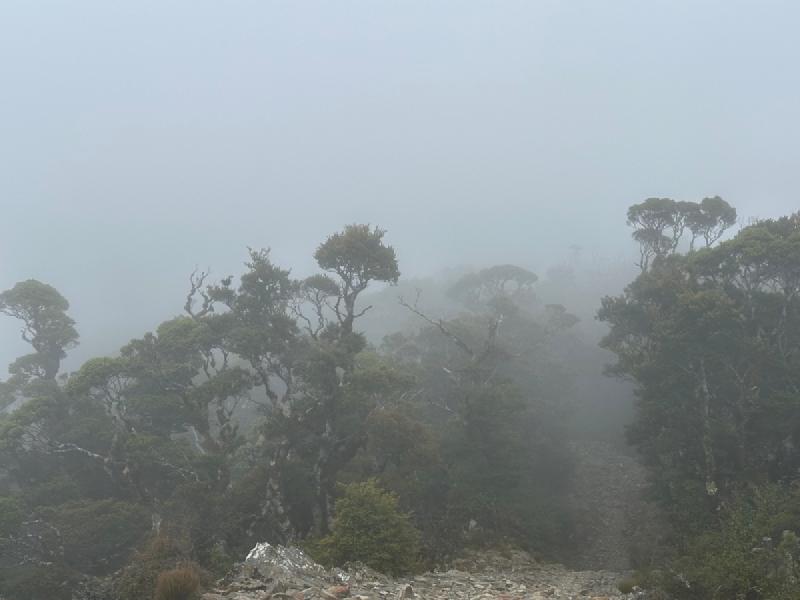 gallery/mt_robertson_06.jpg