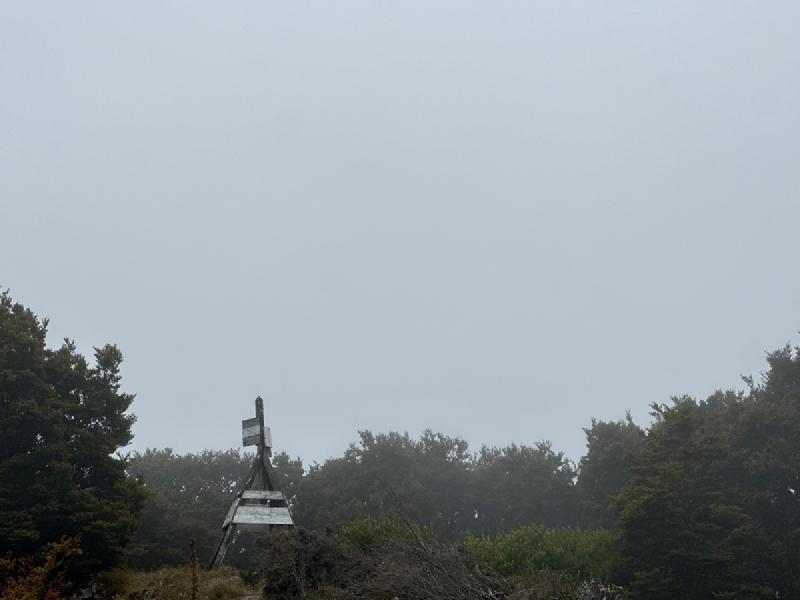gallery/mt_robertson_07.jpg