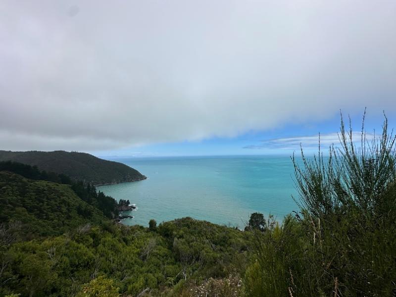 gallery/mt_robertson_10.jpg