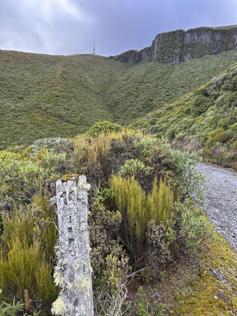 gallery/mt_taranaki_13.jpg
