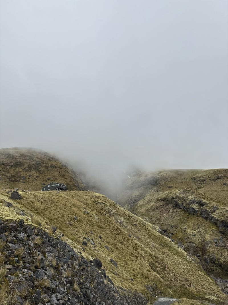gallery/mt_taranaki_79.jpg