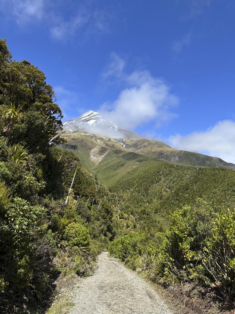 gallery/mt_taranaki_81.jpg
