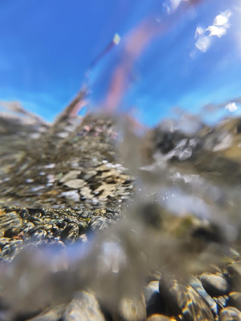 gallery/spring_river_15.jpg