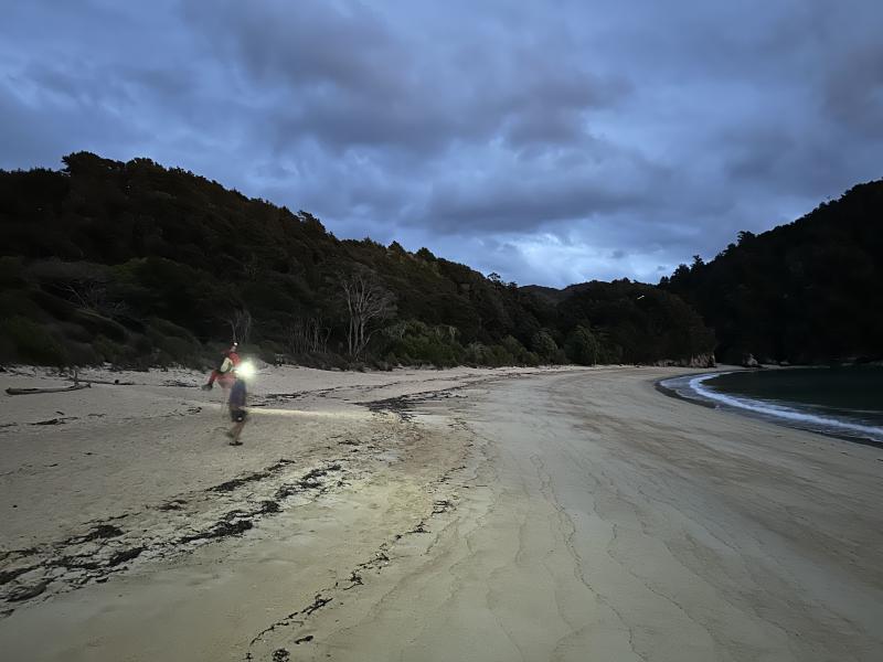gallery/at_to_bark_bay_02.jpg