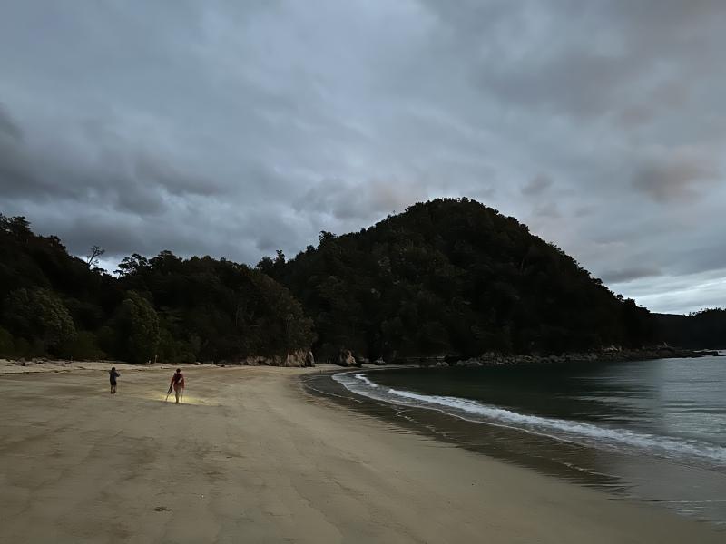 gallery/at_to_bark_bay_07.jpg