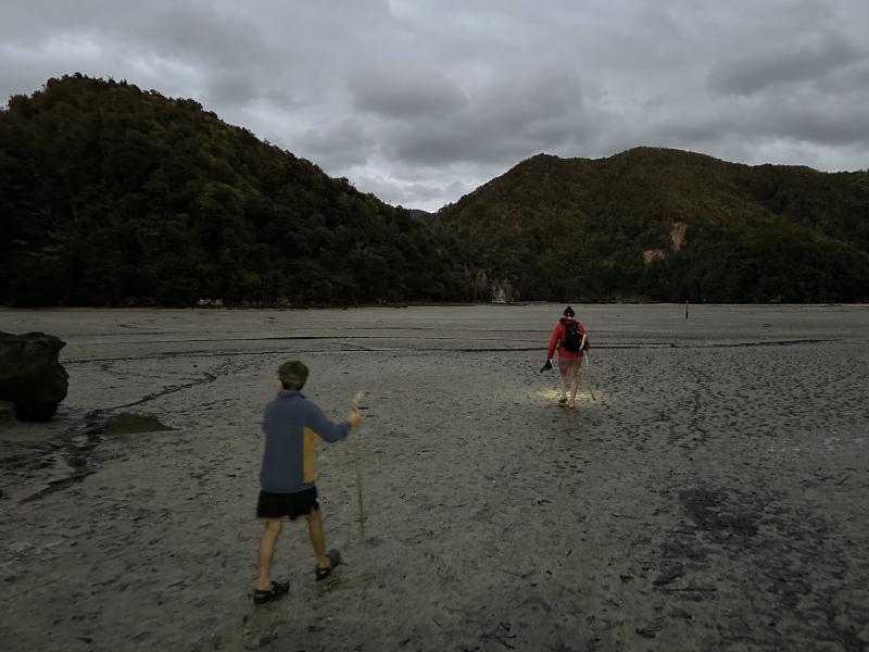 gallery/at_to_bark_bay_11.jpg