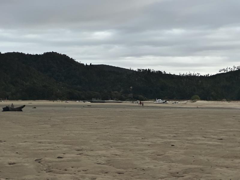 gallery/at_to_bark_bay_14.jpg