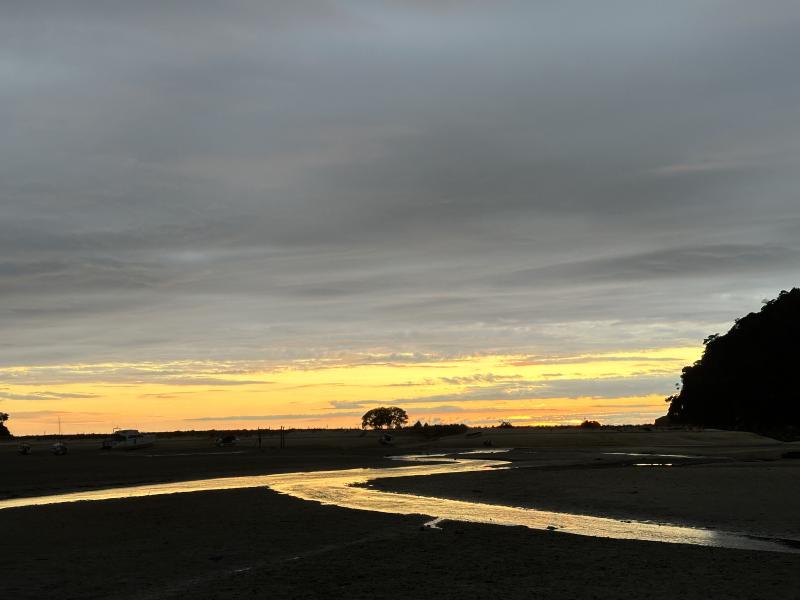 gallery/at_to_bark_bay_17.jpg