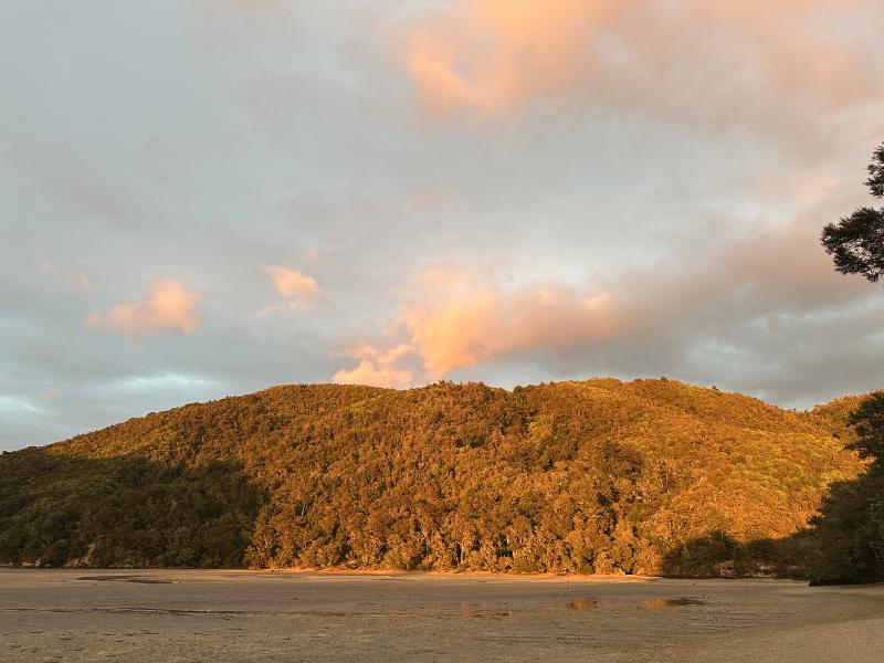 gallery/at_to_bark_bay_18.jpg