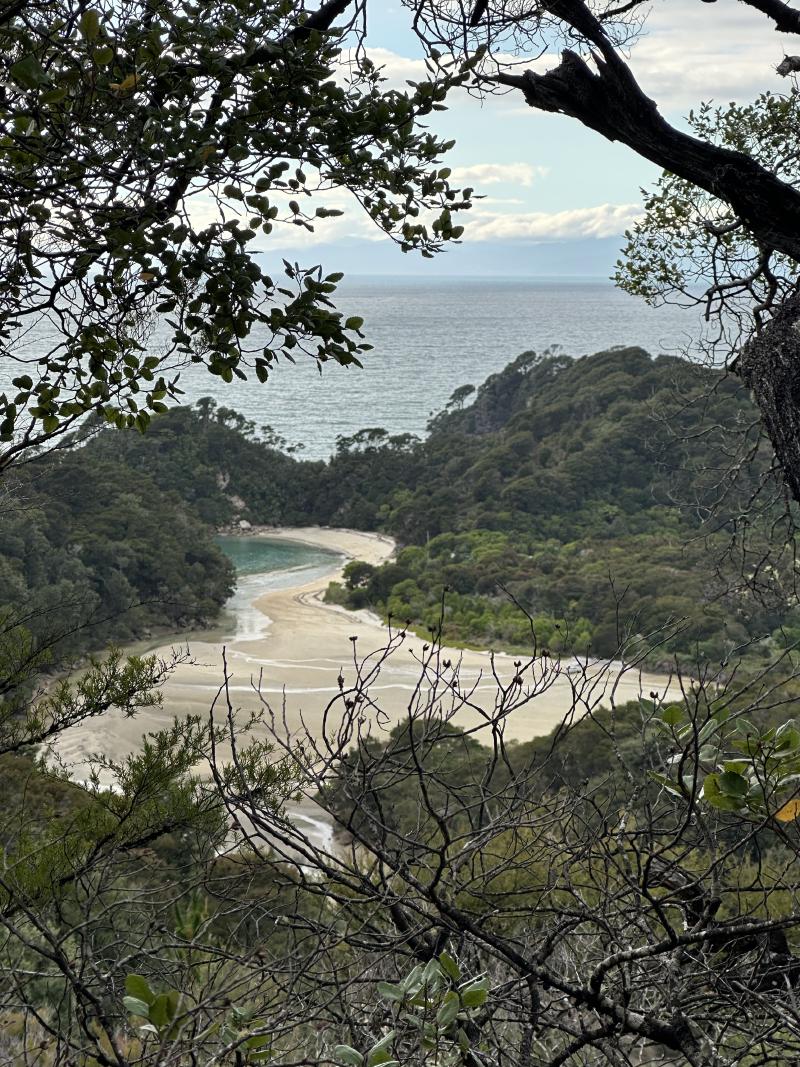 gallery/at_to_bark_bay_37.jpg