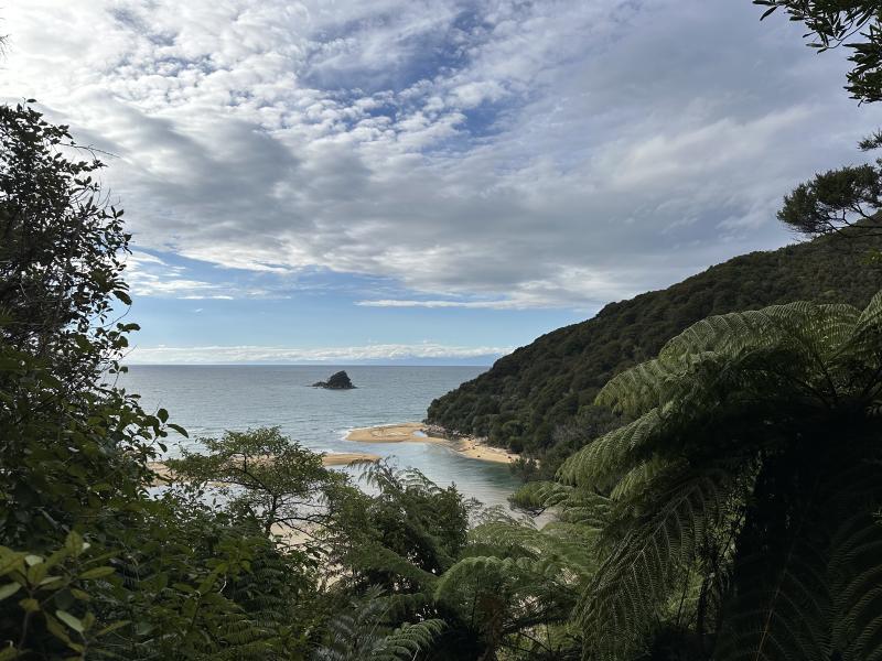 gallery/at_to_bark_bay_44.jpg