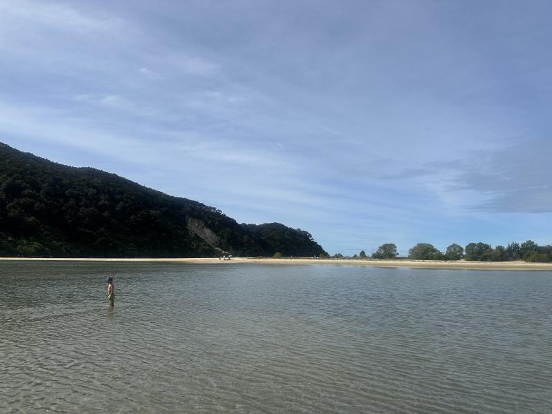 gallery/at_to_bark_bay_54.jpg