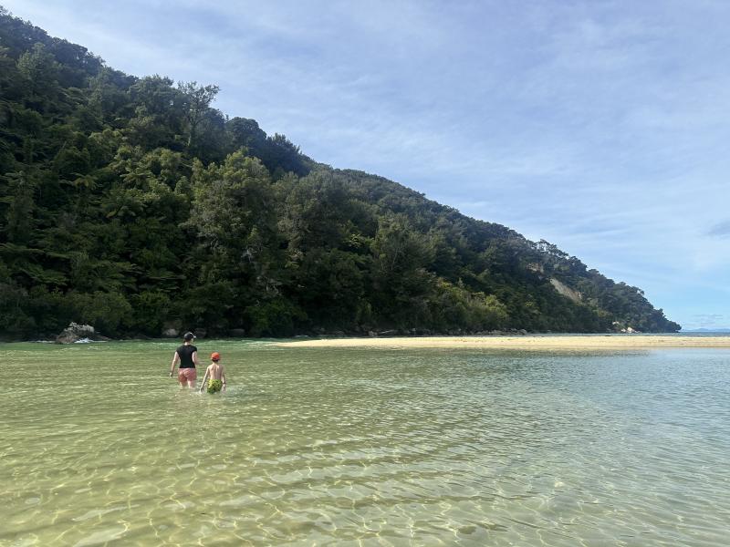 gallery/at_to_bark_bay_74.jpg