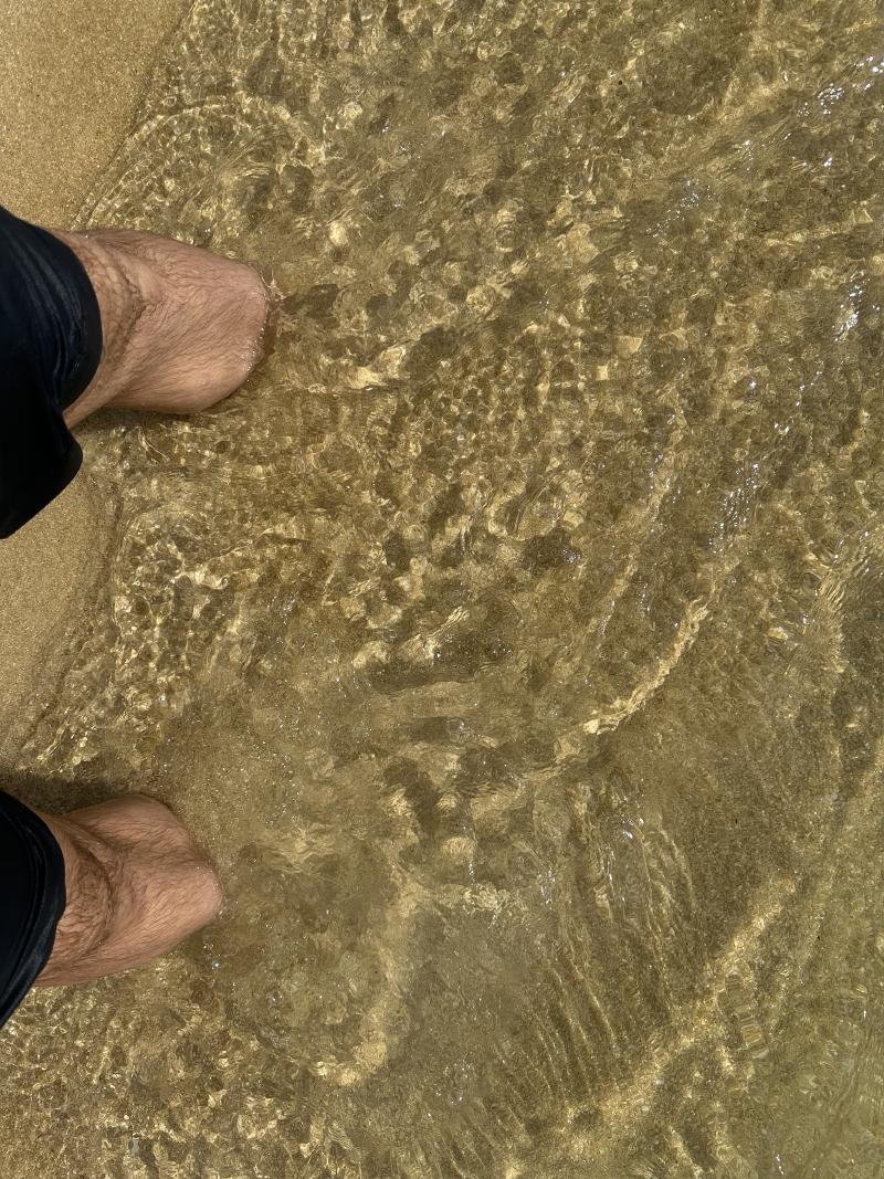 gallery/at_to_bark_bay_82.jpg