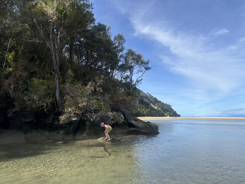 gallery/at_to_bark_bay_87.jpg
