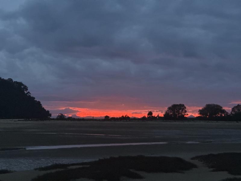 gallery/at_to_bark_bay_93.jpg