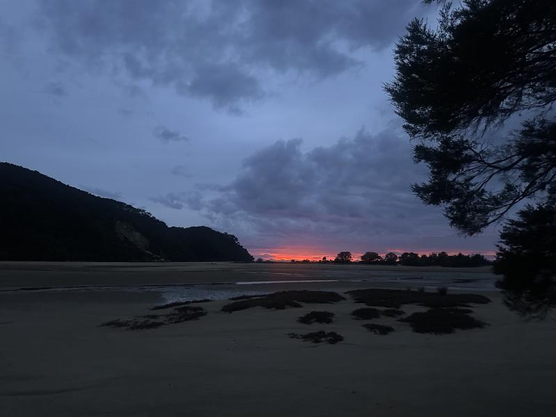 gallery/at_to_bark_bay_94.jpg