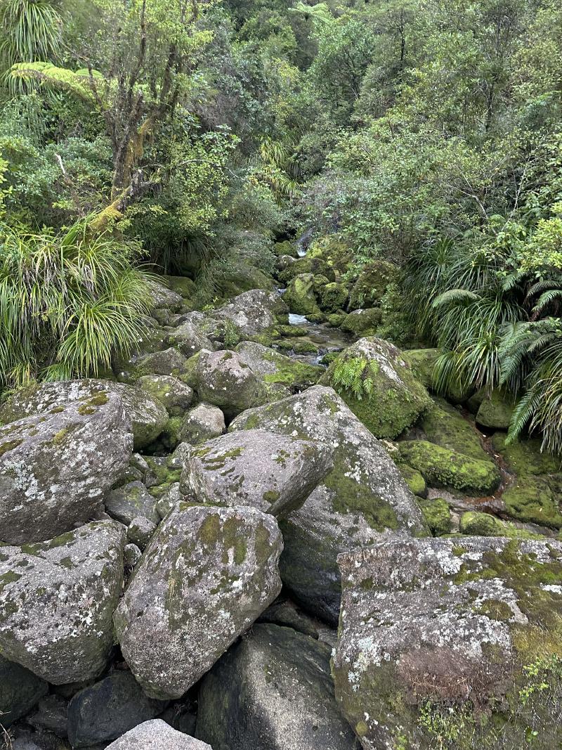 gallery/at_to_awaroha_05.jpg
