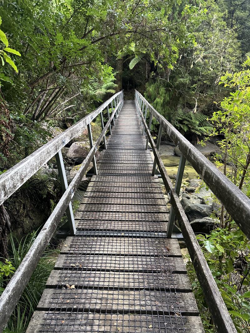 gallery/at_to_awaroha_06.jpg