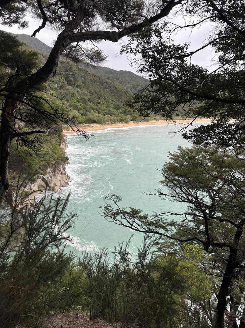 gallery/at_to_awaroha_34.jpg