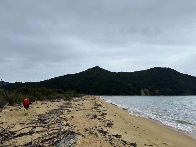 gallery/at_to_awaroha_42.jpg