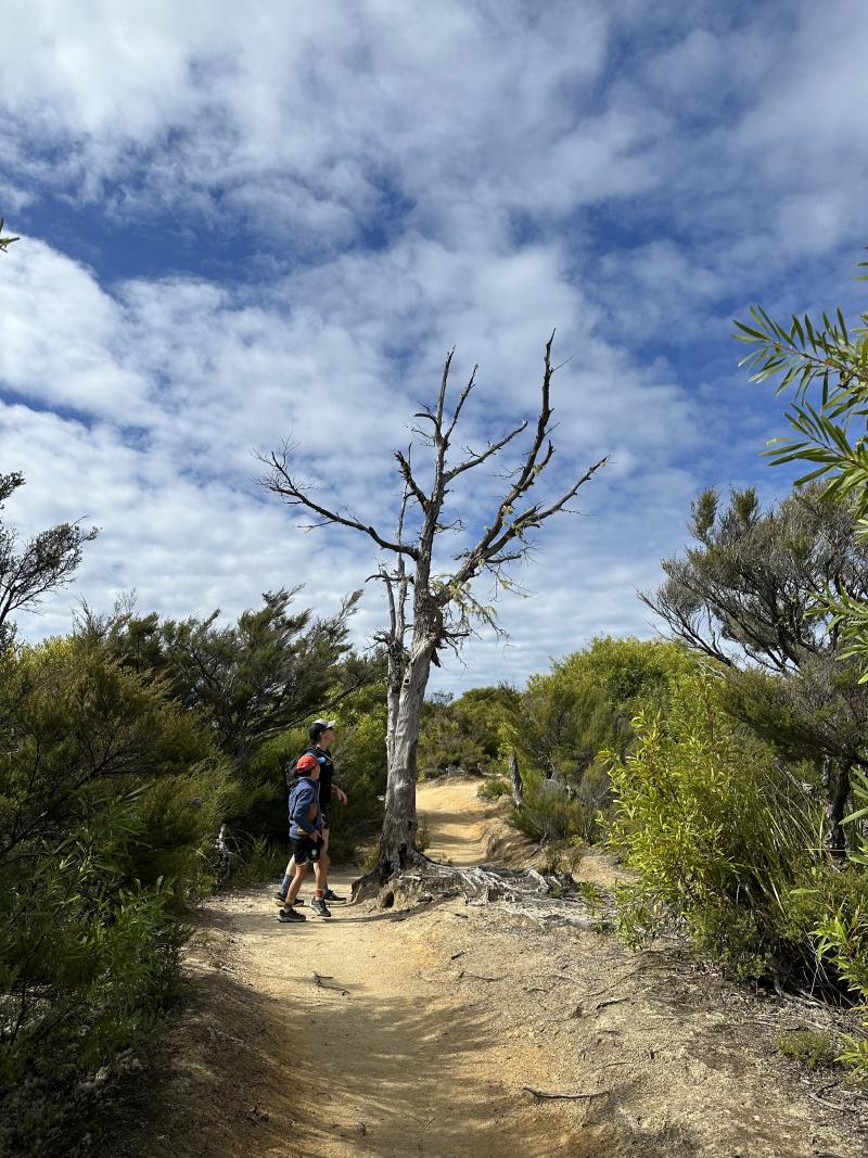 gallery/at_to_anchorage_27.jpg