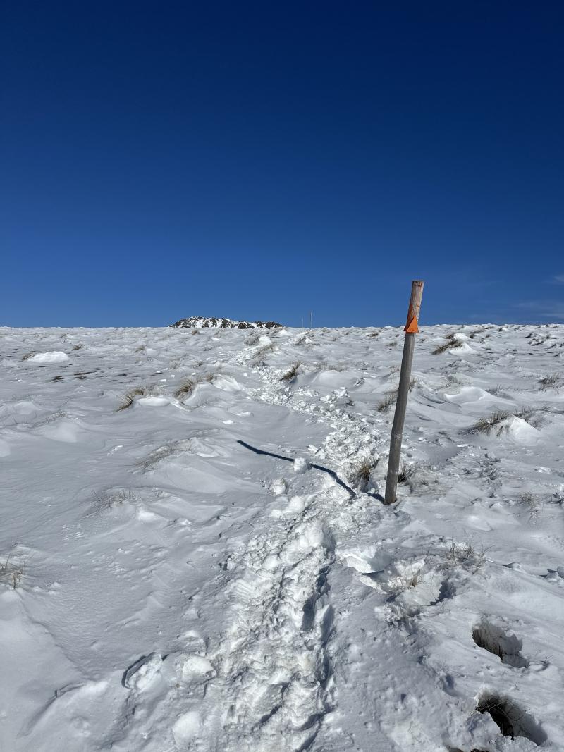 gallery/bushline_solo_06.jpg