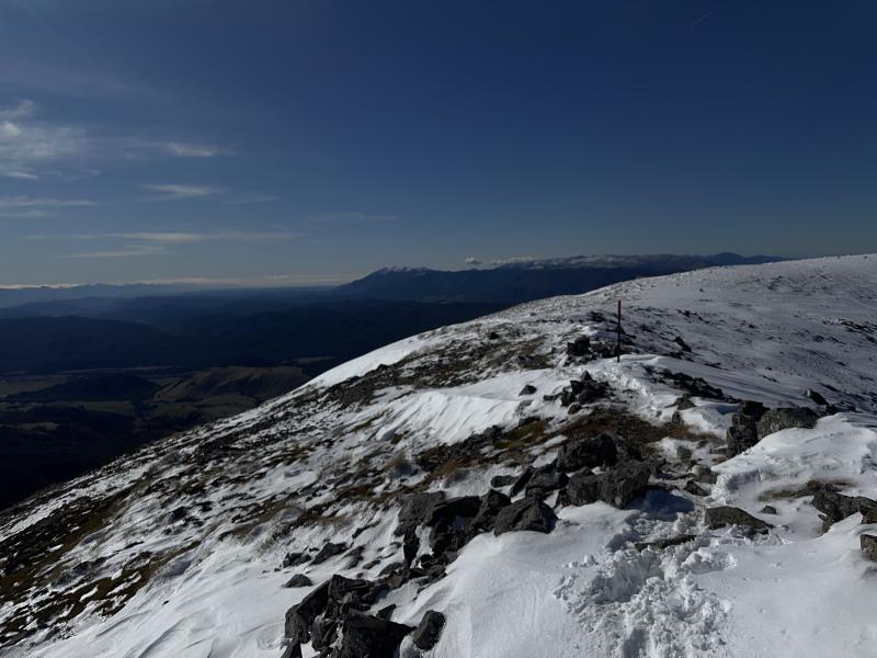 gallery/bushline_solo_14.jpg