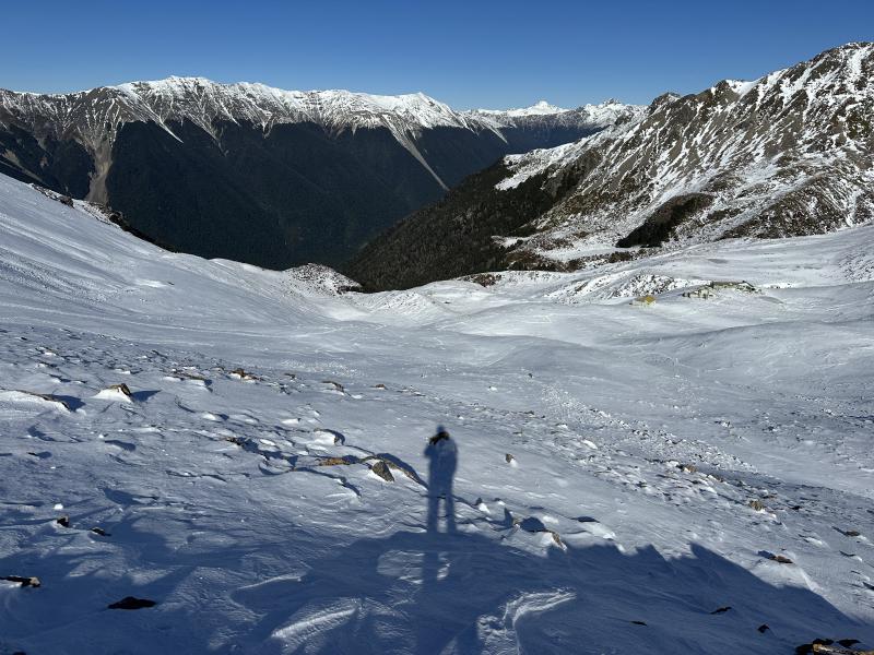 gallery/bushline_solo_15.jpg