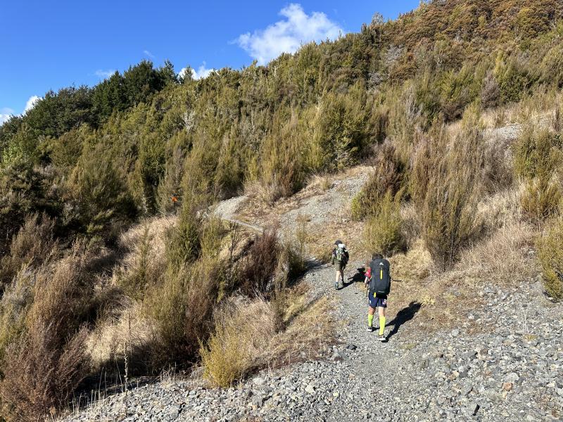 gallery/bushline_oscar_05.jpg