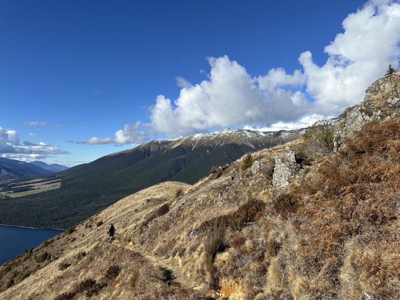 gallery/bushline_oscar_17.jpg
