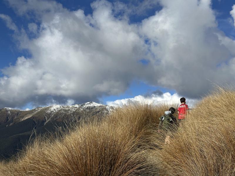 gallery/bushline_oscar_22.jpg