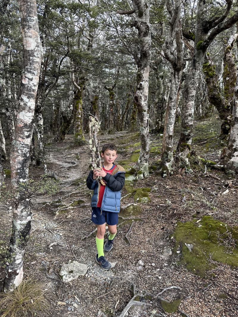 gallery/bushline_oscar_27.jpg