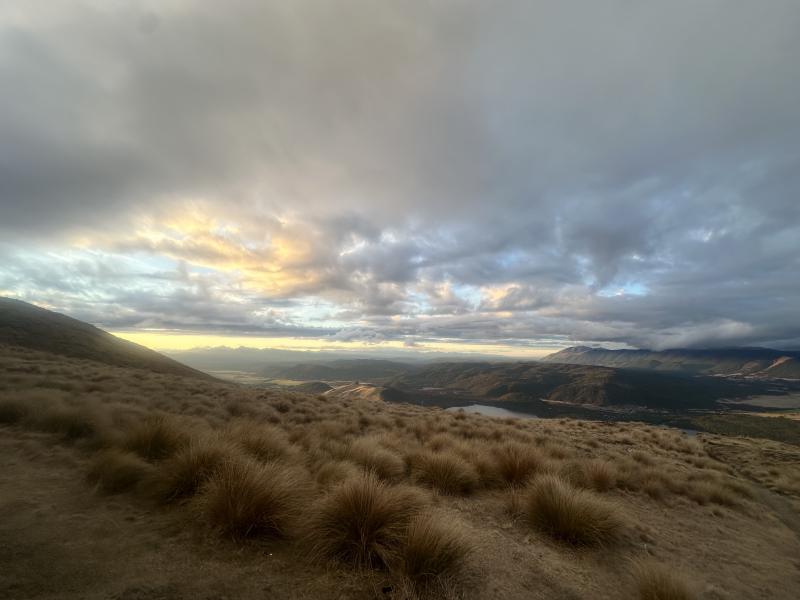 gallery/bushline_oscar_33.jpg