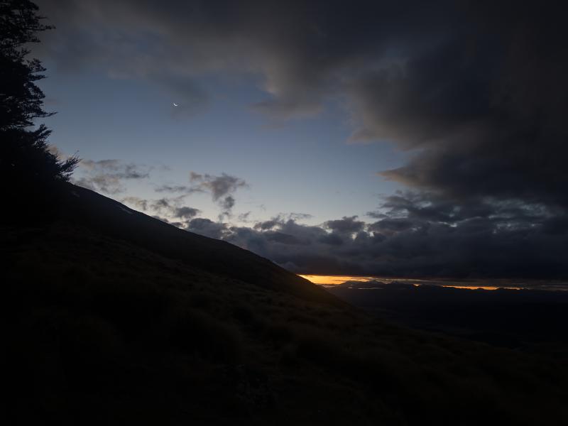 gallery/bushline_oscar_43.jpg