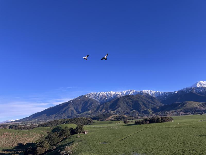 gallery/kaikoura_trip_56.jpg