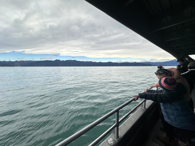 gallery/kaikoura_trip_84.jpg