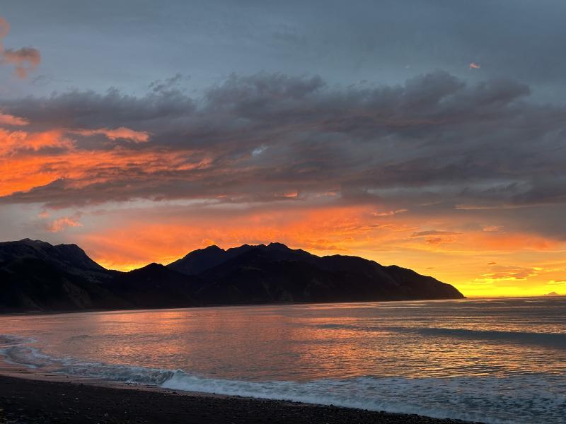 gallery/kaikoura_trip_93.jpg