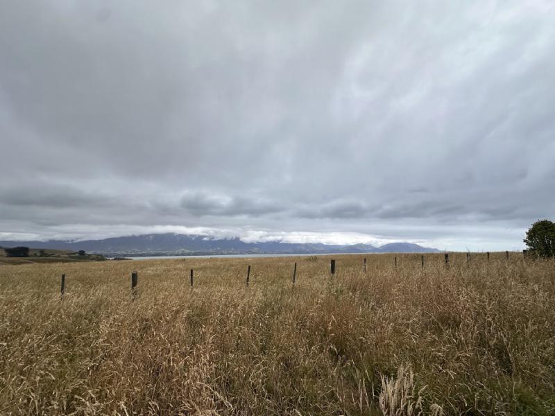 gallery/kaikoura_weekend_10.jpg