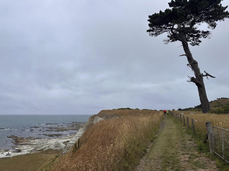 gallery/kaikoura_weekend_11.jpg