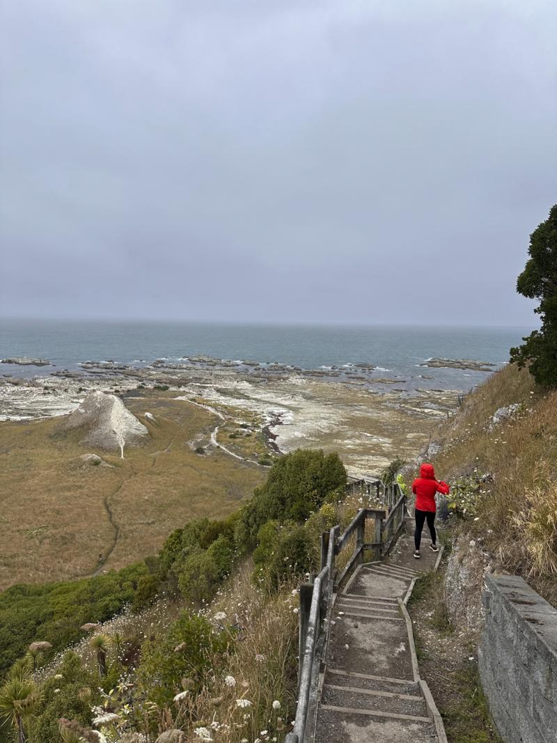 gallery/kaikoura_weekend_12.jpg