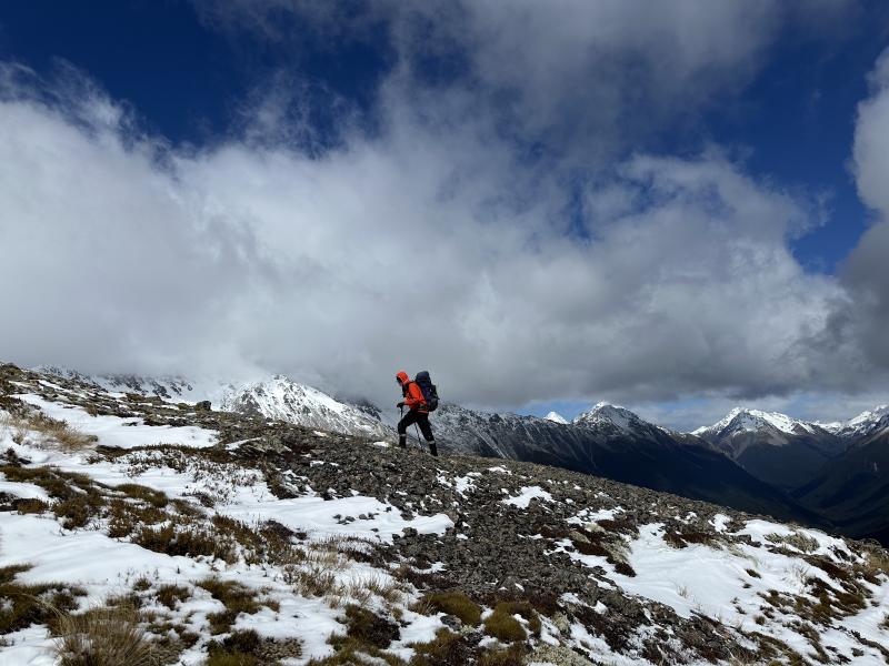 gallery/mt_angelus_hut_020.jpg