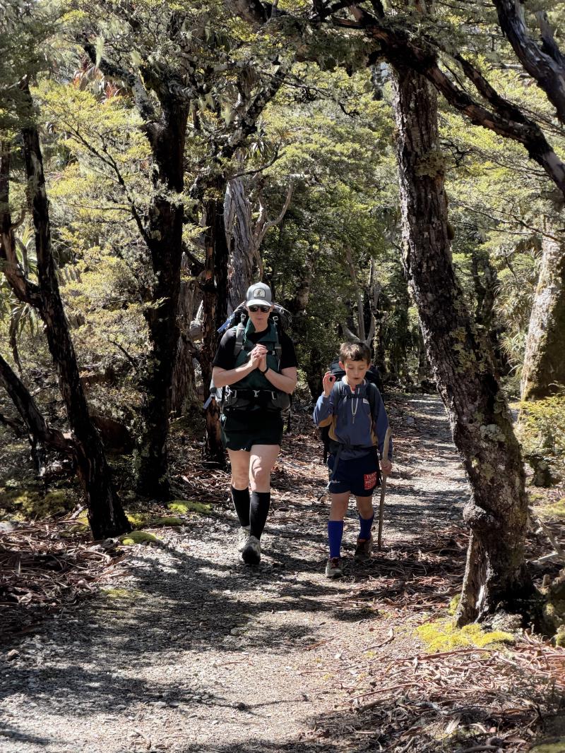 gallery/mt_arthur_hut_009.jpg