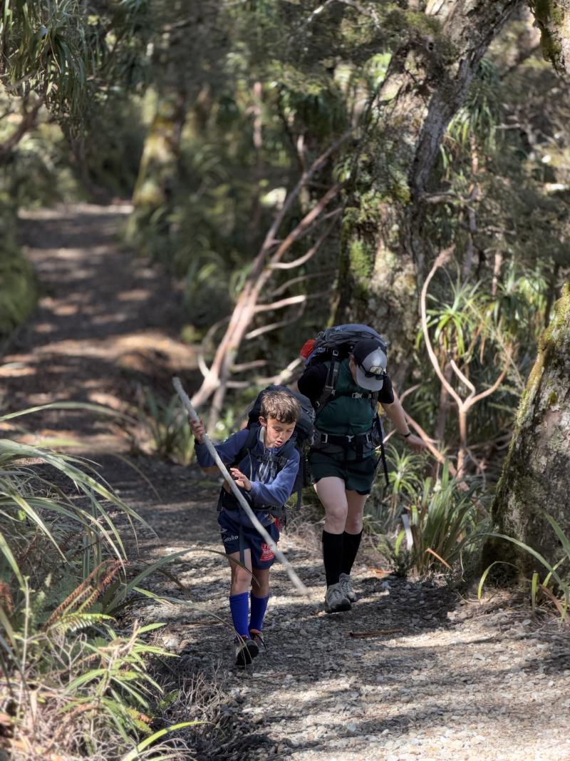 gallery/mt_arthur_hut_012.jpg